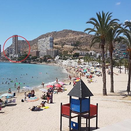 Gafner 8 Leilighet Alicante Eksteriør bilde